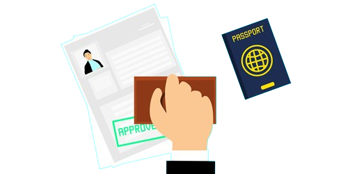 Experiencia de Asesoría